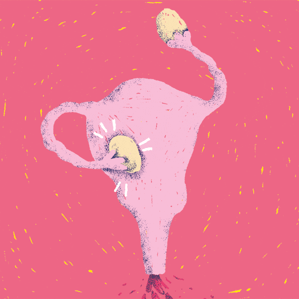 The Four Phases of Your Menstrual Cycle Explained