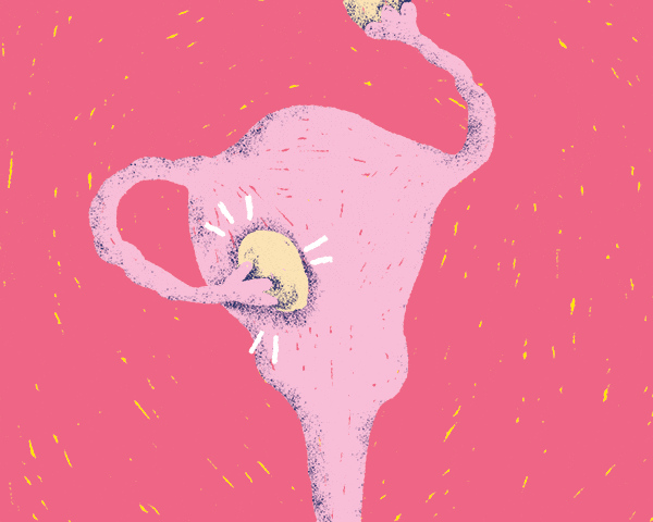 The Four Phases of Your Menstrual Cycle Explained